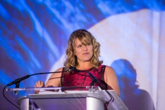 2016 IES Boston Section Illumination Awards