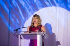 2016 IES Boston Section Illumination Awards