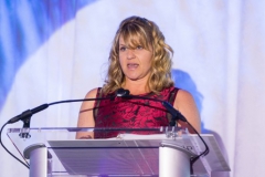 2016 IES Boston Section Illumination Awards