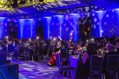 0420_2022-5-26-Corporate-IES-2022-374-of-600