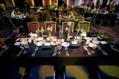 at the Ilumination Gala , May 2023. Photo By Jeff Pinette for AAO
