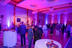 2024 Illumination Awards Gala