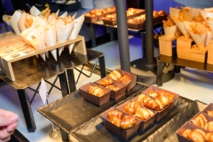 IIllumination2024323-copia