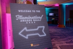 IIllumination2024394