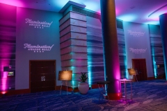 IIllumination2024395