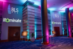 IIllumination2024396