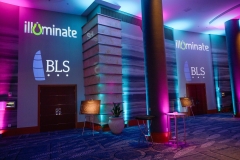 IIllumination2024398